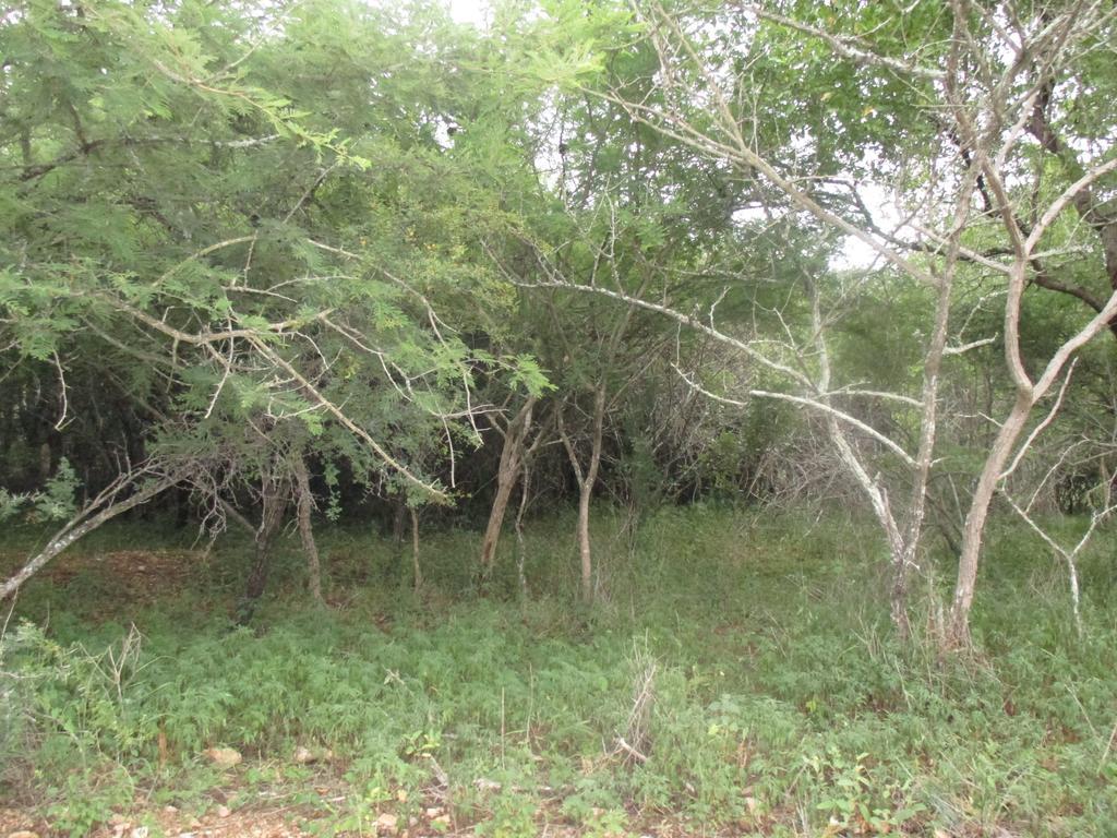 Royal Kruger Lodge Marloth Park Exterior photo